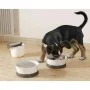 Naminių gyvūnėlių kelionių rinkinys Pet Life 18,9x17,6x18cm balta/pilka Naminių gyvūnėlių kelionių rinkinys Pet Life 18,9x17,6x18cm balta/pilka