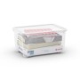 Box with lid T Box S 14L 26,5x38x19cm transparent