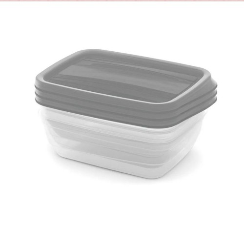 Food Container Set Rectangular 3x1L Vedo transparent grey