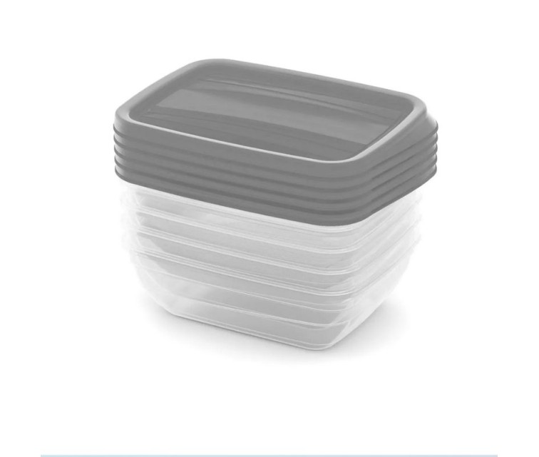 Набор контейнеров для пищевых продуктов 5x0,5 л Vedo прозрачный серый