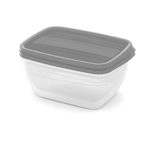 Toidukausside komplekt ristkülikukujuline 2x1,3L Vedo läbipaistev hall Toidukausside komplekt ristkülikukujuline 2x1,3L Vedo läbipaistev hall