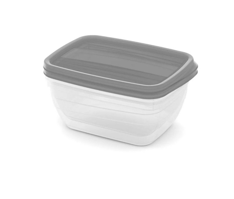 Food bowl set rectangular 2x1,3L Vedo transparent grey