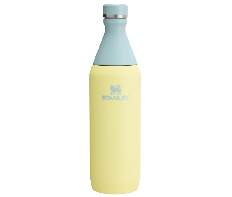 Termospudel The All Day Slim Bottle 0,6L läikiv pomelo kollane-roheline