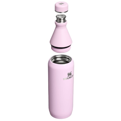 Termopudele The All Day Slim Bottle 0,6L glancēti rozā