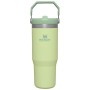 Termopudele ar salmiņu The IceFlow Flip Straw Tumbler 0,89L gaiši zaļa Termopudele ar salmiņu The IceFlow Flip Straw Tumbler 0,89L gaiši zaļa