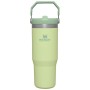 Thermal bottle with straw The IceFlow Flip Straw Tumbler 0,89L light green