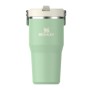 Термокружка с трубочкой The IceFlow Flip Straw 2.0 Tumbler 0,6 л фисташкового цвета