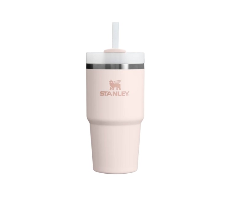 Termokrūze ar salmiņu The Quencher H2.O FlowState Tumbler 0.6L gaiši rozā 2.0 Termokrūze ar salmiņu The Quencher H2.O FlowState Tumbler 0.6L gaiši rozā 2.0