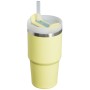 Termokrūze ar salmiņu The Quencher H2.O FlowState Tumbler 0.6L pomelo dzeltenzaļa Termokrūze ar salmiņu The Quencher H2.O FlowState Tumbler 0.6L pomelo dzeltenzaļa