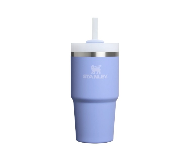 Termokrūze ar salmiņu The Quencher H2.O FlowState Tumbler 0.6L hortenziju zila