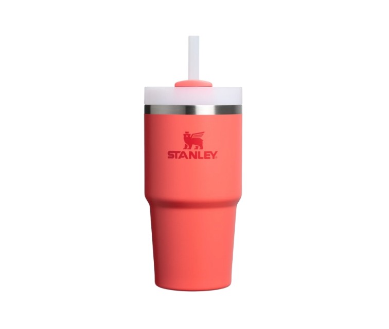 Termokrūze ar salmiņu The Quencher H2.O FlowState Tumbler 0.6L koraļu sarkanoranža Termokrūze ar salmiņu The Quencher H2.O FlowState Tumbler 0.6L koraļu sarkanoranža