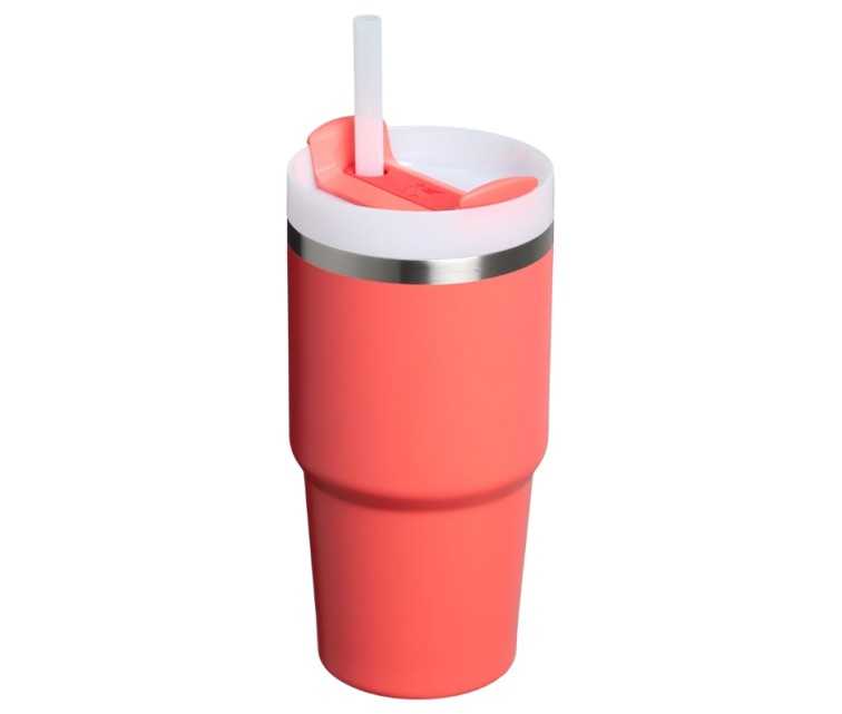 Termokrūze ar salmiņu The Quencher H2.O FlowState Tumbler 0.6L koraļu sarkanoranža Termokrūze ar salmiņu The Quencher H2.O FlowState Tumbler 0.6L koraļu sarkanoranža