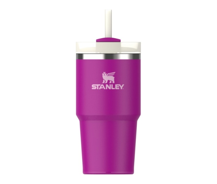 Termokruus kõrrega The Quencher H2.O FlowState Tumbler 0.6L lilla