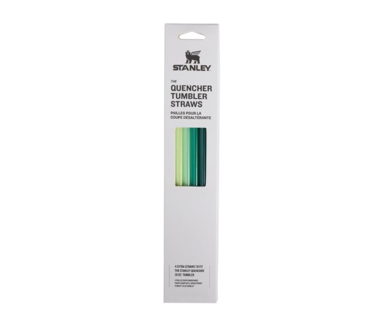 Salmiņu komplekts 4 gab. termokrūzēm The Quencher Travel Tumbler Straws 0,89L zaļi Salmiņu komplekts 4 gab. termokrūzēm The Quencher Travel Tumbler Straws 0,89L zaļi