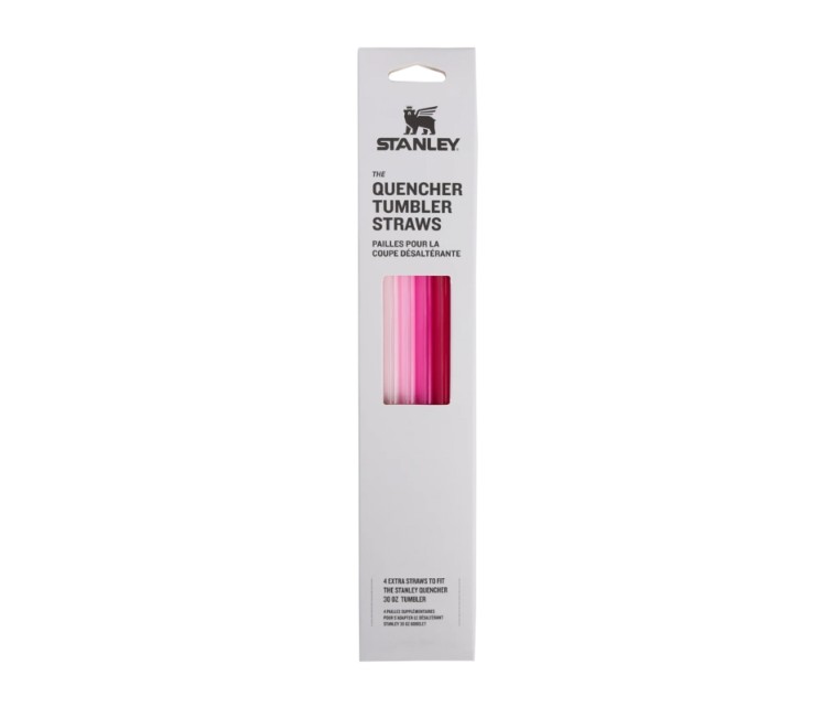 Salmiņu komplekts 4 gab. termokrūzēm The Quencher Travel Tumbler Straws 0,89L rozā Salmiņu komplekts 4 gab. termokrūzēm The Quencher Travel Tumbler Straws 0,89L rozā