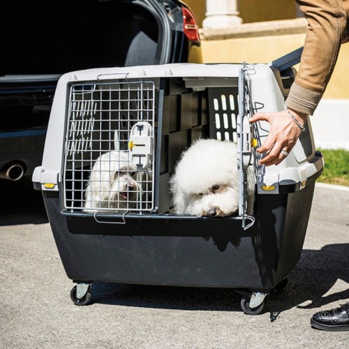 Vidinė pertvara skirta transportavimo narvui Gulliver Touring juoda