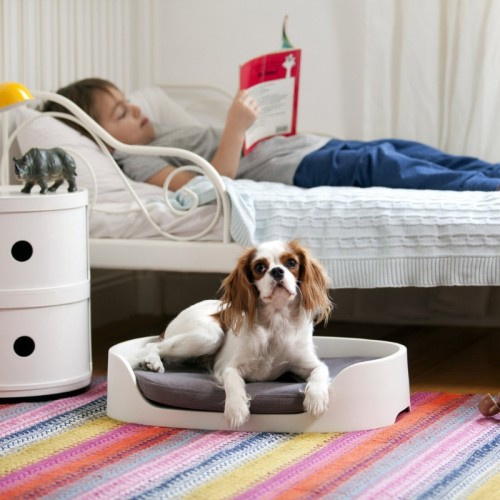 Pet Beds