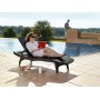 Sun lounger Pacific brown