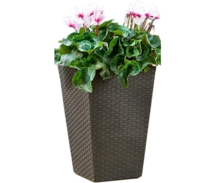 Puķu pods Rattan Planter S 23,6L brūns