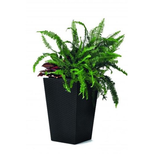 Puķu pods Rattan Planter S 23,6L pelēks Puķu pods Rattan Planter S 23,6L pelēks