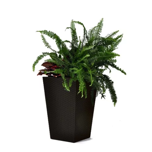Puķu pods Rattan Planter M 55,4L brūns