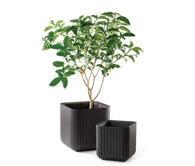 Puķu pods Cube Planter M brūns