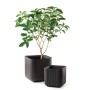 Puķu pods Cube Planter M brūns