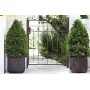 Flowerpot Cube Planter M brown