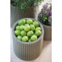 Flowerpot Medium Cylinder Planter light grey