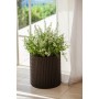 Puķu podu komplekts Cylinder Planters S+M+L brūns