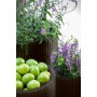 Flower pot set Cylinder Planters S+M+L brown