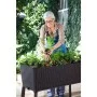 Lillepott Keter G-ROW Lillepott Keter G-ROW