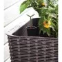Lillepott Keter G-ROW Lillepott Keter G-ROW