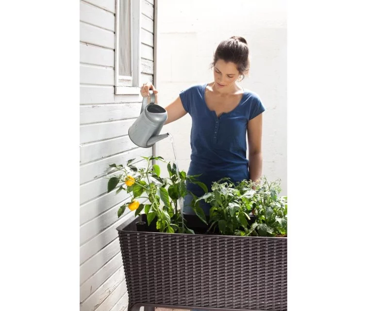 Lillepott Keter G-ROW Lillepott Keter G-ROW