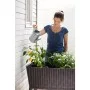 Lillepott Keter G-ROW Lillepott Keter G-ROW