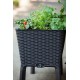 Puķu pods Easy Grow Rattan Waves pelēks Puķu pods Easy Grow Rattan Waves pelēks