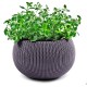 Puķu pods karināms Cozy M With Hanging Set violets Puķu pods karināms Cozy M With Hanging Set violets