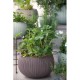 Puķu pods karināms Cozy M With Hanging Set violets Puķu pods karināms Cozy M With Hanging Set violets