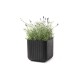 Puķu pods Cube Planter S brūns Puķu pods Cube Planter S brūns