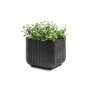 Puķu pods Cube Planter S pelēks