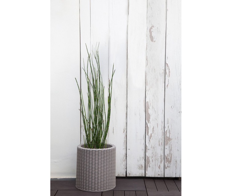 Flowerpot Small Cylinder Planter light grey