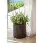 Puķu pods Small Cylinder Planter brūns Puķu pods Small Cylinder Planter brūns