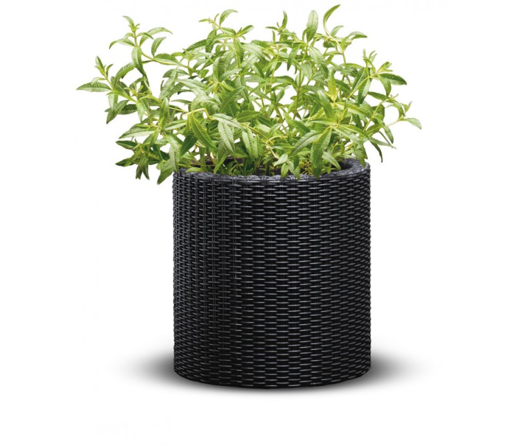 Flower Pot Small Cylinder Planter grey