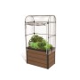 Greenhouse for terrace Maple Green House 99x58x185cm brown