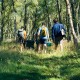 Aukstuma kaste Adventure 6,6L zaļa 2020 Aukstuma kaste Adventure 6,6L zaļa 2020