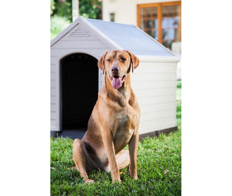 Dog House 95x99x99cm grey