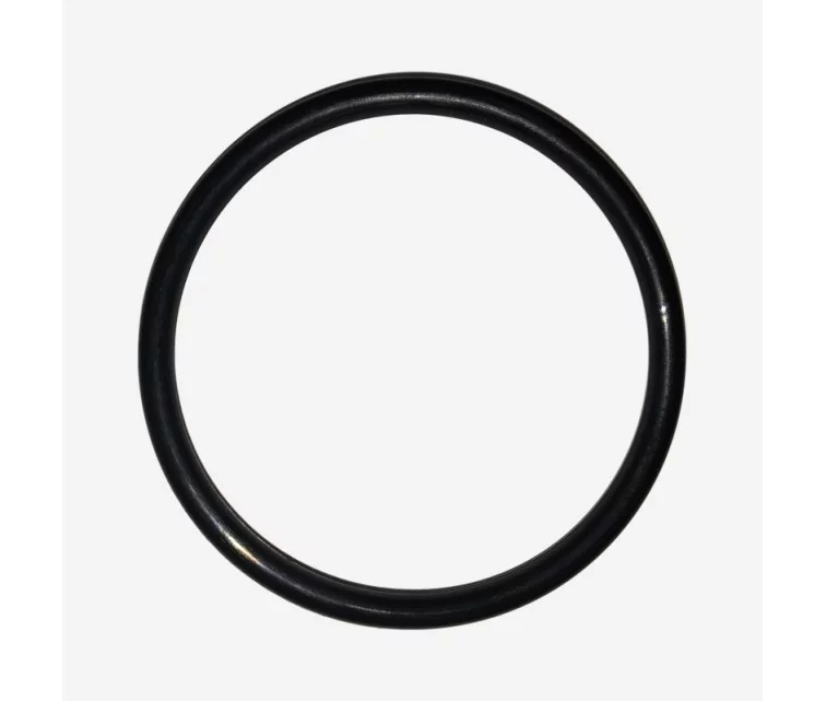LEIFHEIT O-Ring for vacuum window cleaner Nemo LEIFHEIT O-Ring for vacuum window cleaner Nemo