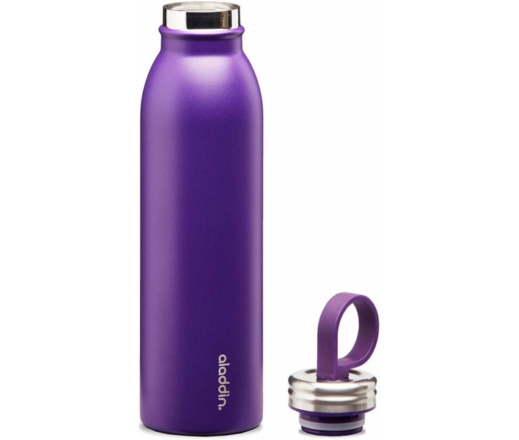 Thermobottle Chilled Thermavac 0,55L stainless steel purple