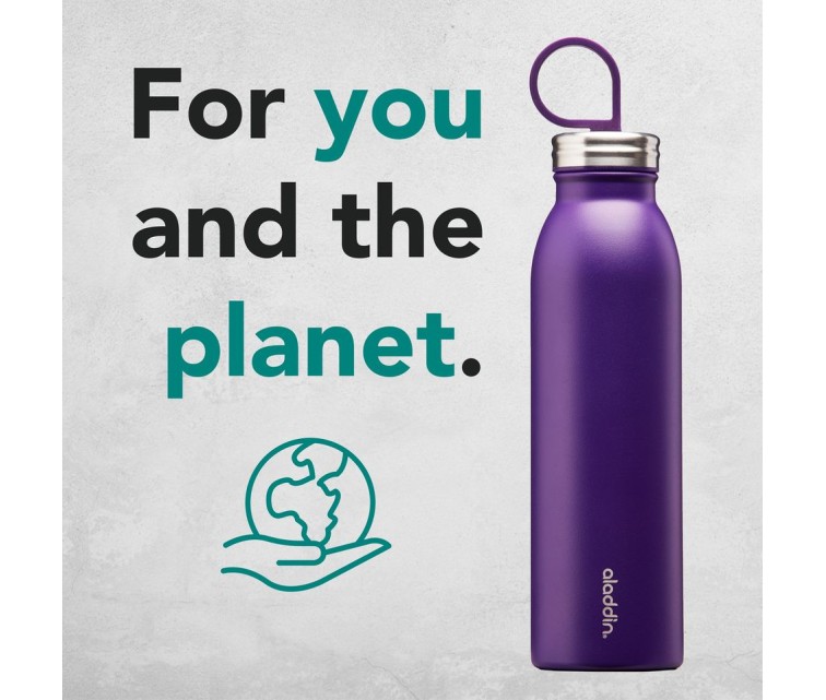 Thermobottle Chilled Thermavac 0,55L stainless steel purple