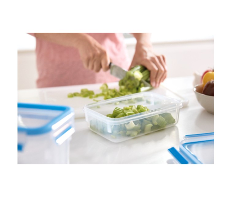 Food storage container Masterseal Fresh Box square 0,25L